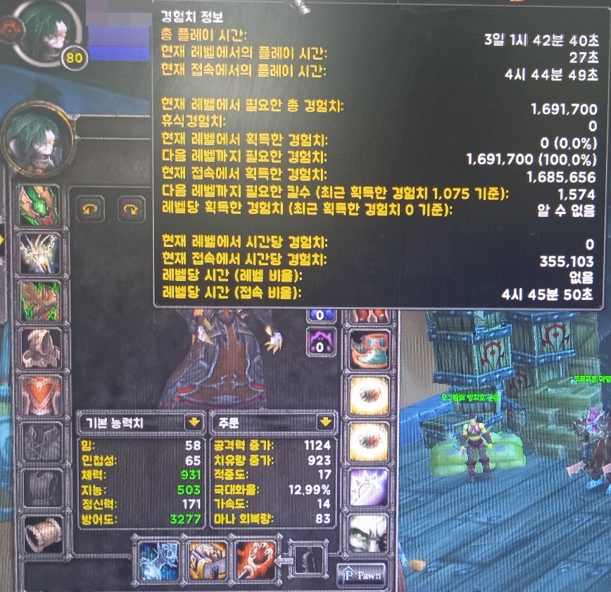 캐릭터 육성 기록 15 — 캐릭터 이름 모자이크 처리